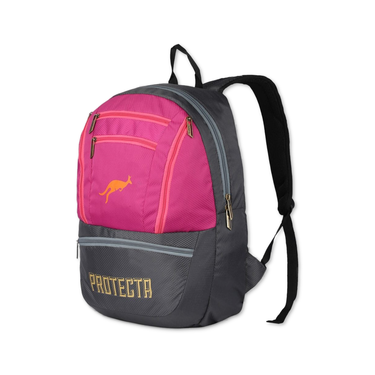 Grey-Pink | Protecta Paragon Laptop Backpack-1