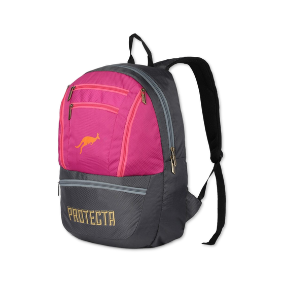 Grey-Pink | Protecta Paragon Laptop Backpack-1