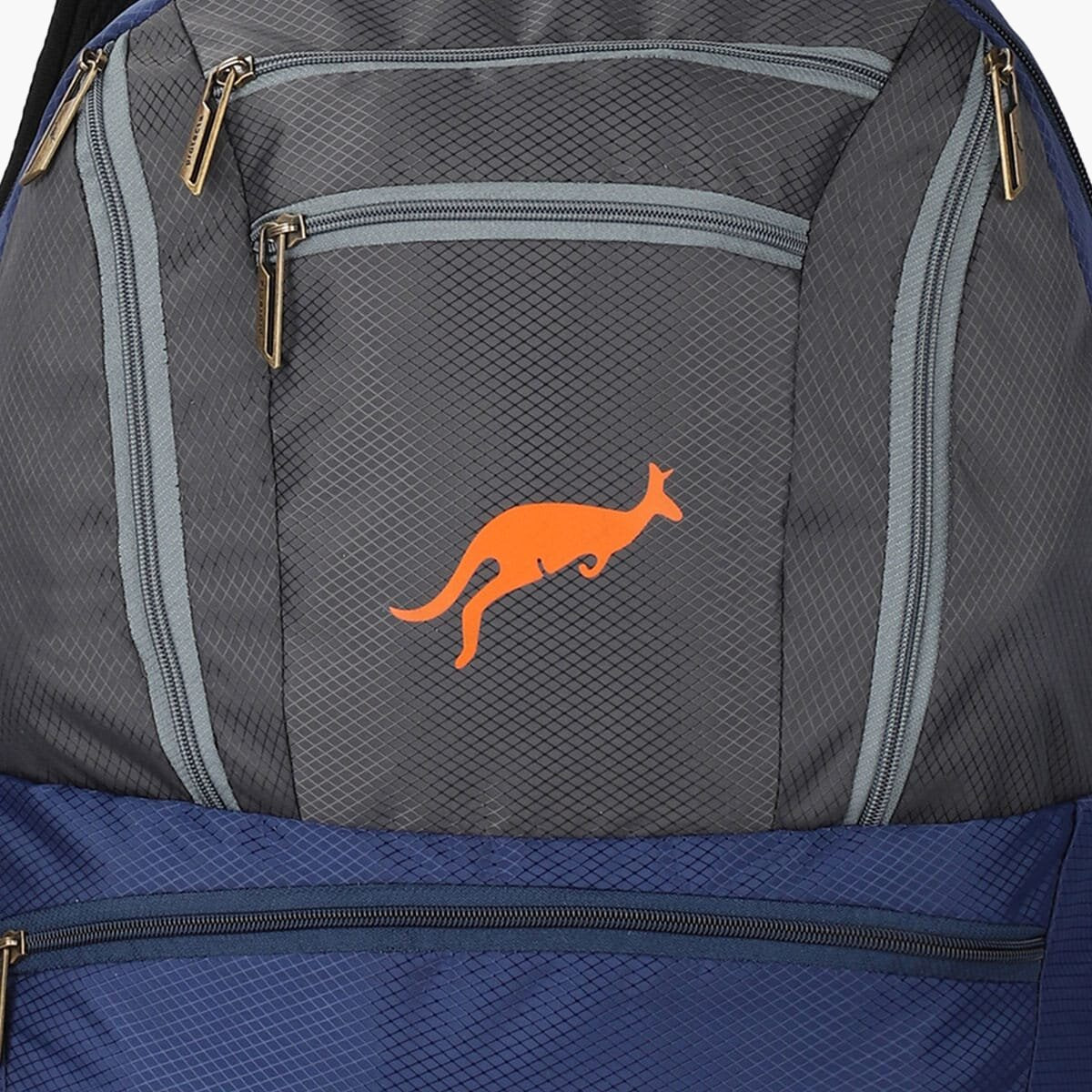 Navy-Grey | Protecta Paragon Laptop Backpack-6