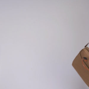 Strong Buzz Laptop Office Bag