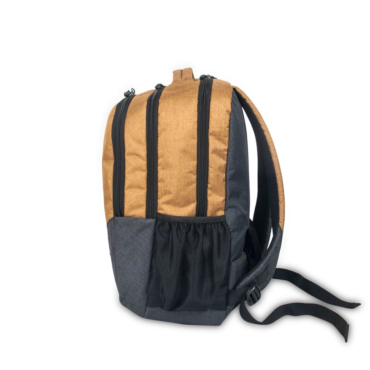 Abbey Grey-Harvest Beige, Class Apart School & College Backpack-3