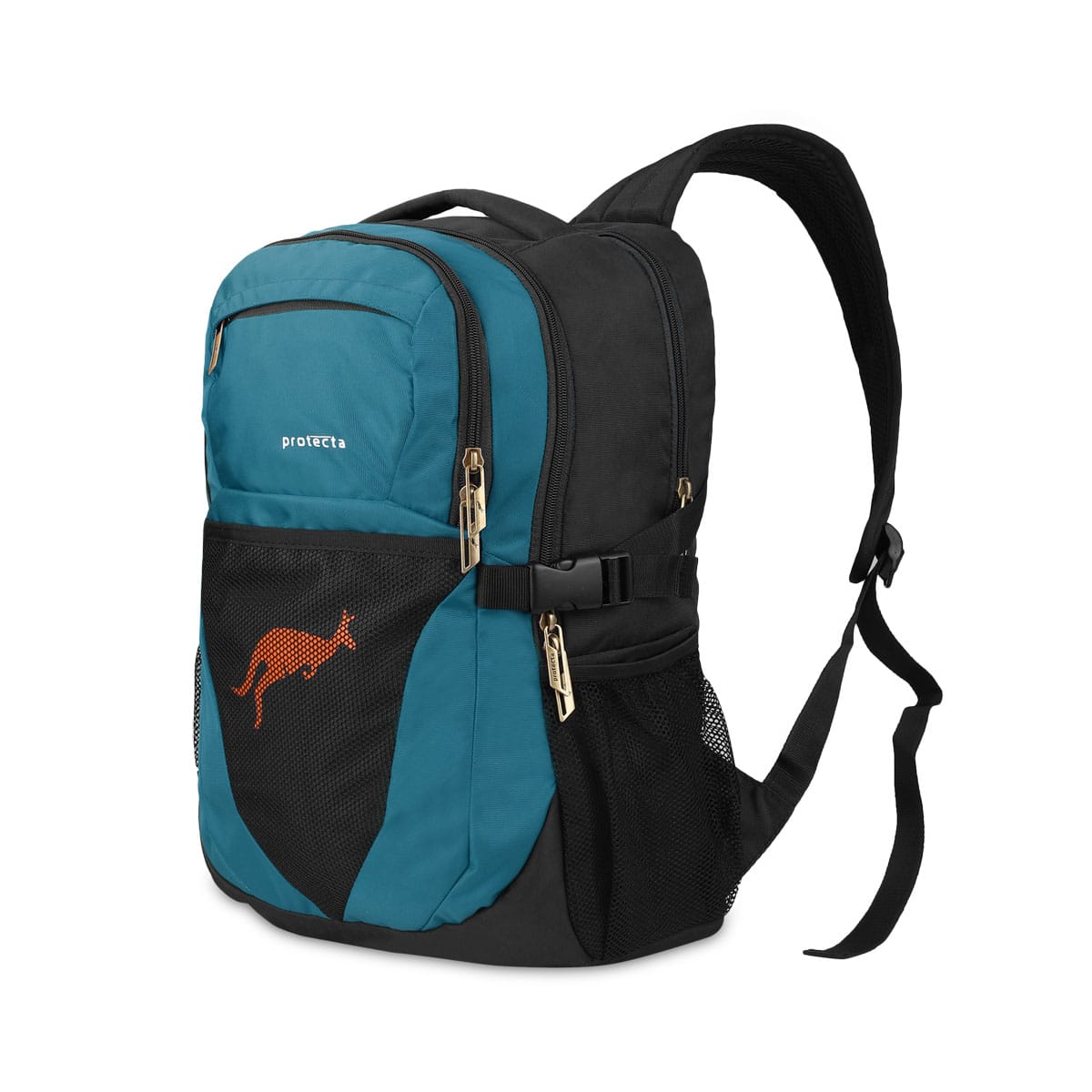 Black-Astral | Protecta Enigma Laptop Backpack-1