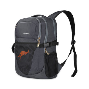 Grey | Protecta Enigma Laptop Backpack-1