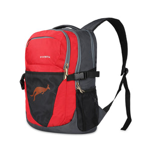 Grey-Red | Protecta Enigma Laptop Backpack-1