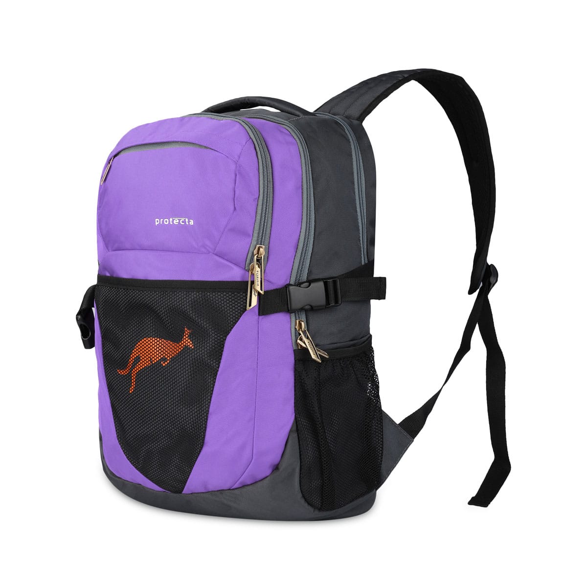 Grey-Violet | Protecta Enigma Laptop Backpack-1