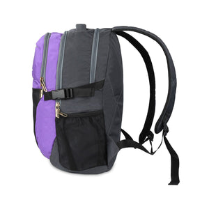 Grey-Violet | Protecta Enigma Laptop Backpack-2