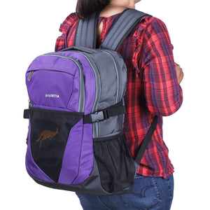 Grey-Violet | Protecta Enigma Laptop Backpack-6