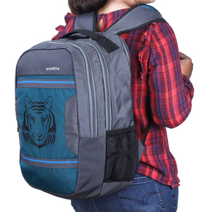 Grey-Astral | Protecta Harmony Laptop Backpack-6