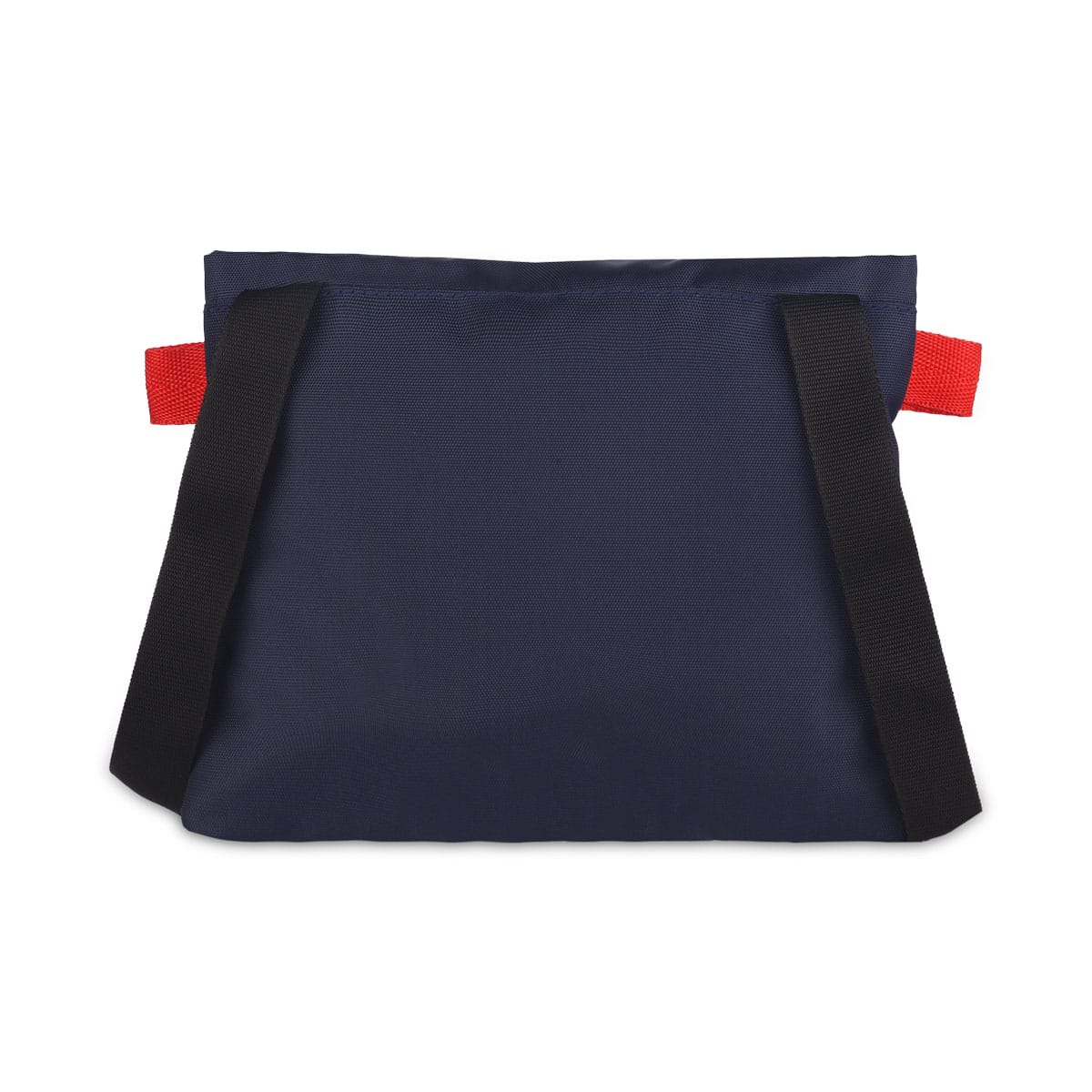 Indian Traditional | Protecta Ignite Casual Sling Bag for Women-1