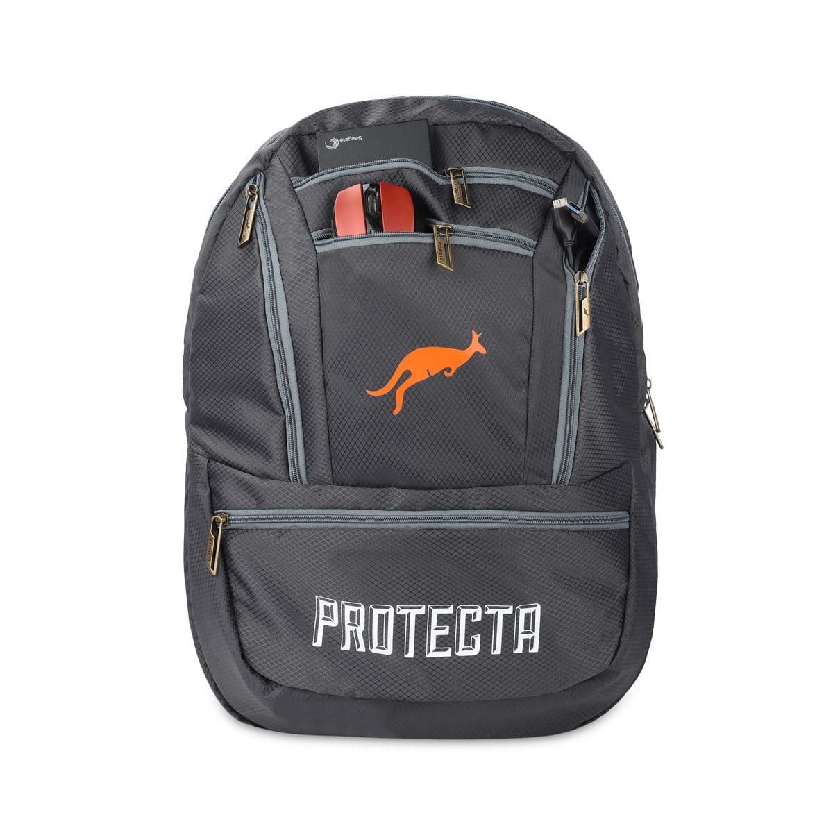 Grey | Protecta Paragon Laptop Backpack-5
