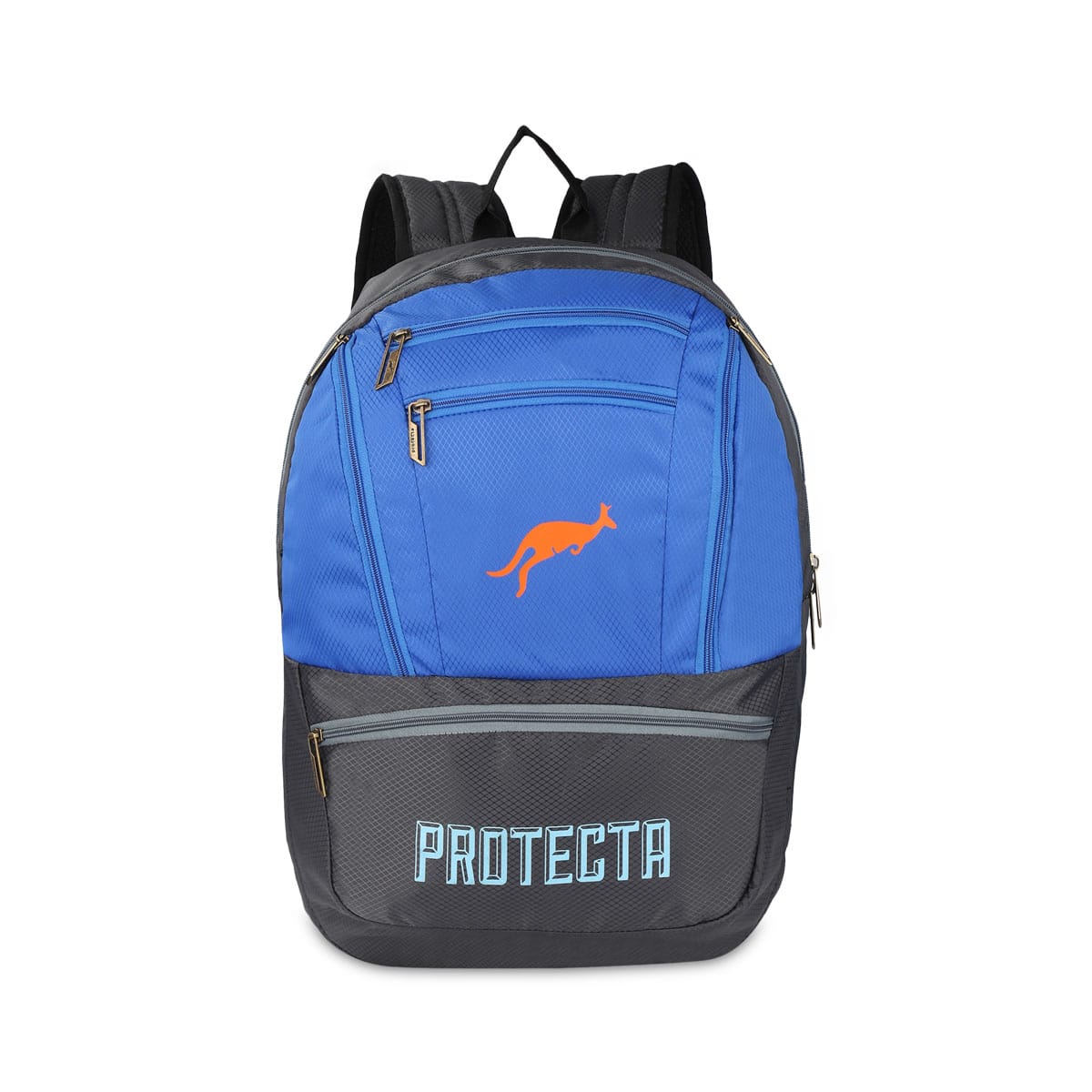 Grey-Blue | Protecta Paragon Laptop Backpack-Main