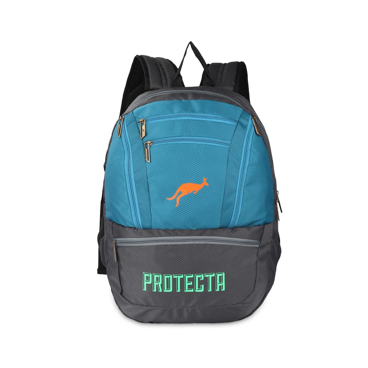 Grey-Astral | Protecta Paragon Laptop Backpack-Main