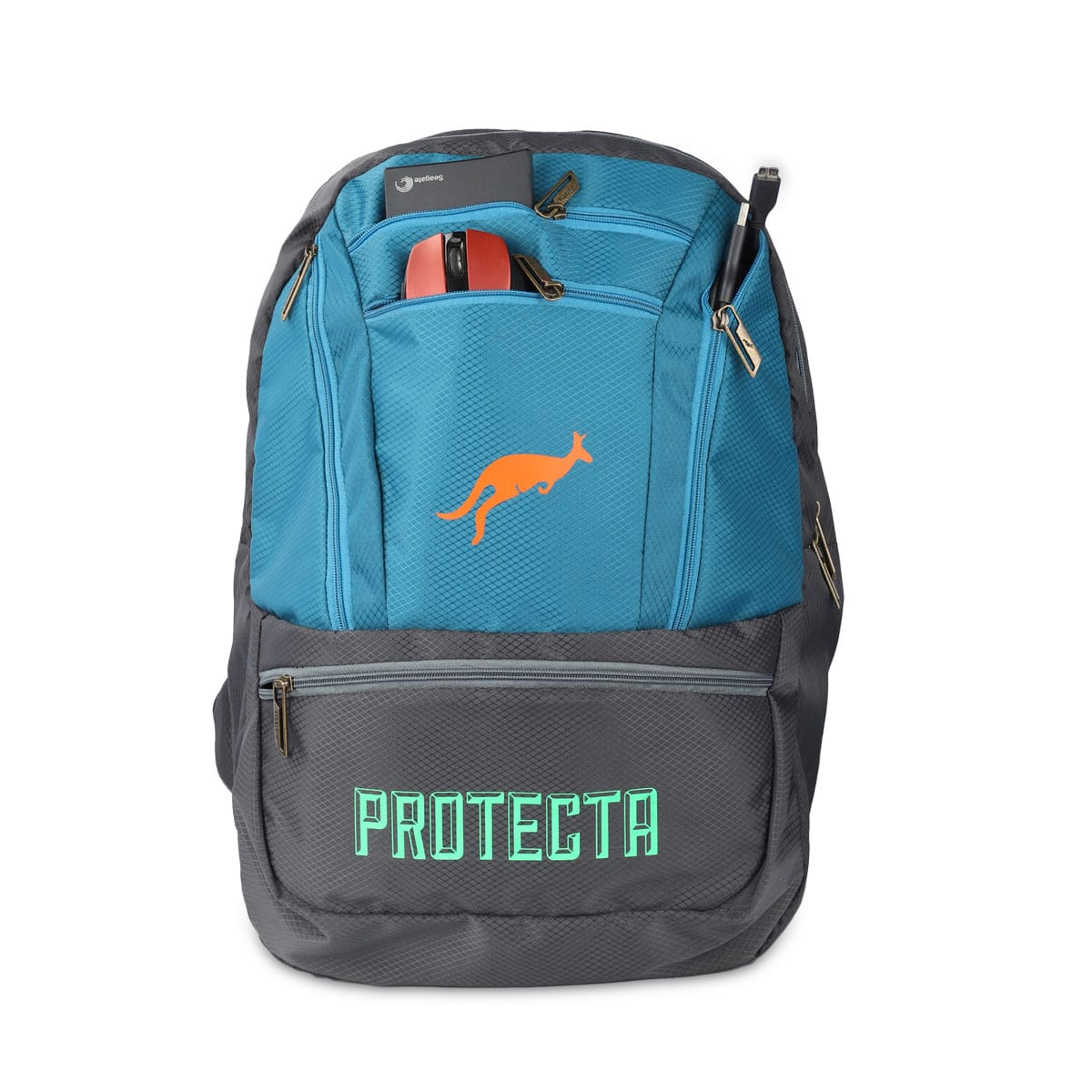 Grey-Astral | Protecta Paragon Laptop Backpack-5